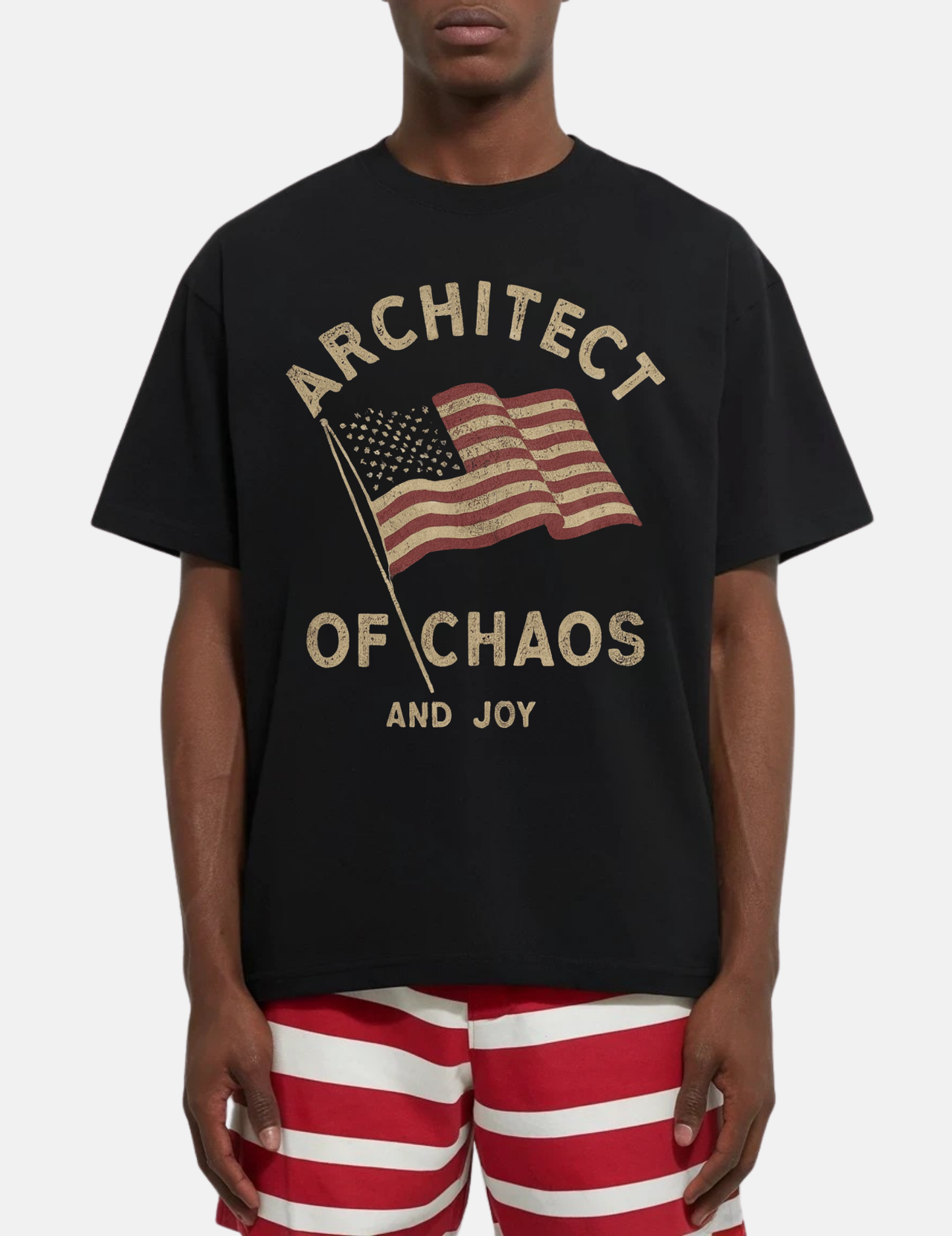 Architect Of Chaos And Joy Graphic Tee
