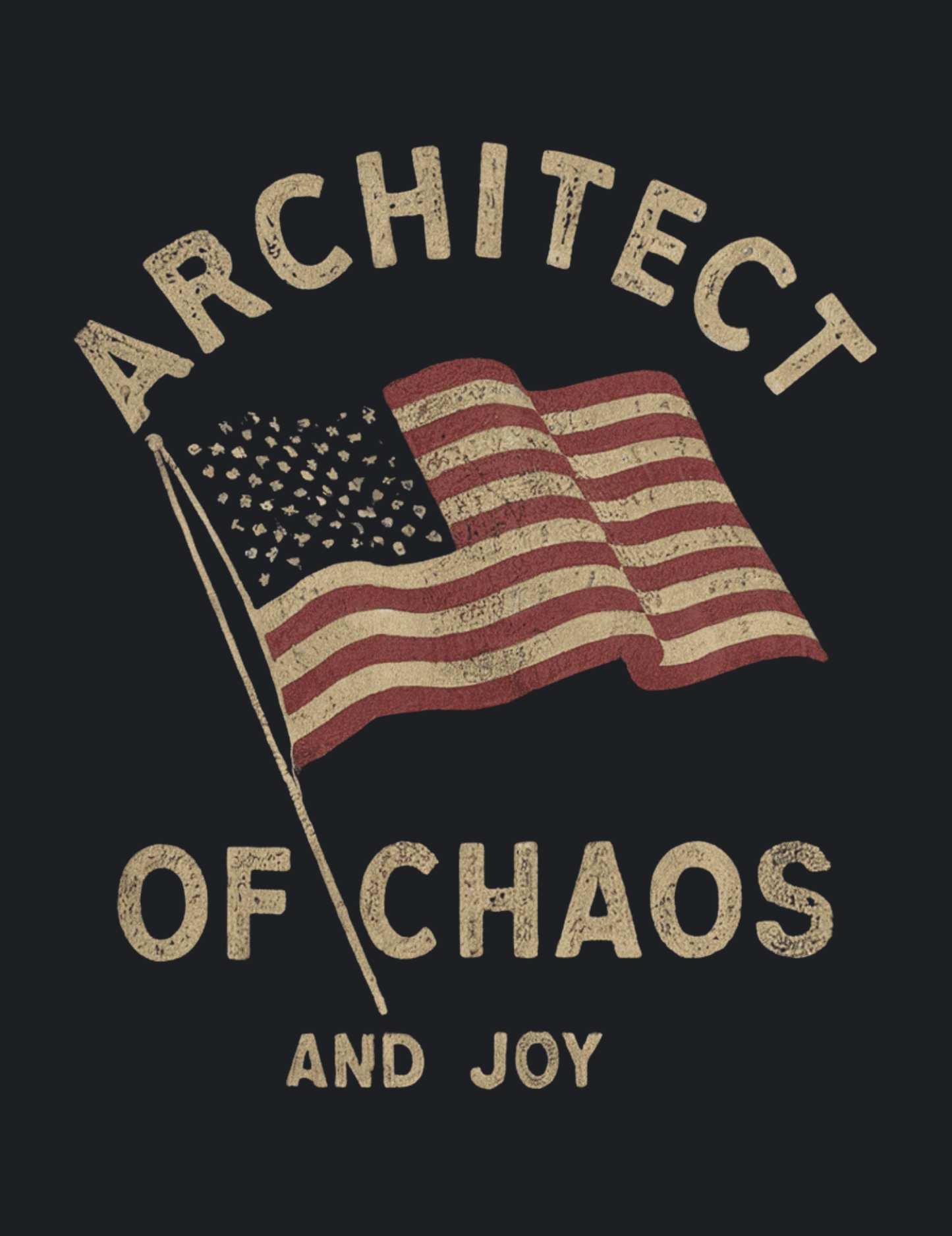 Architect Of Chaos And Joy Graphic Tee